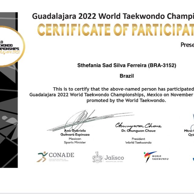 Ampliar imagem: certificate 1