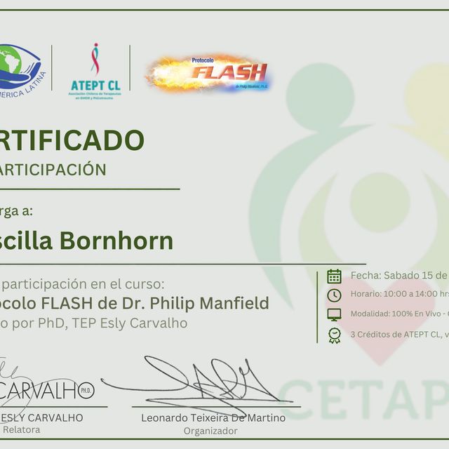 Acercar imagen: certificate 4
