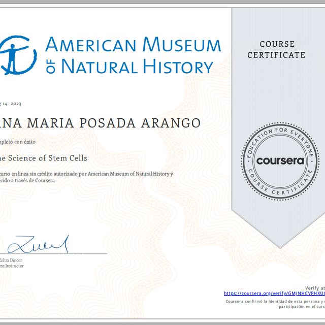 Acercar imagen: certificate 6