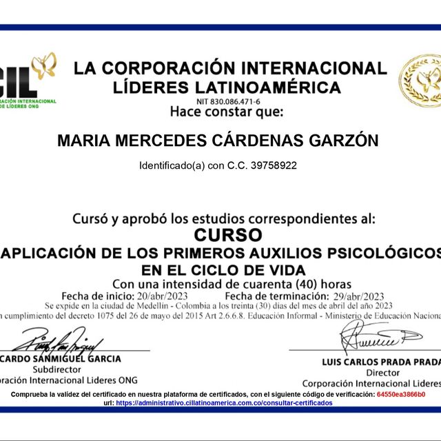 Acercar imagen: certificate 3