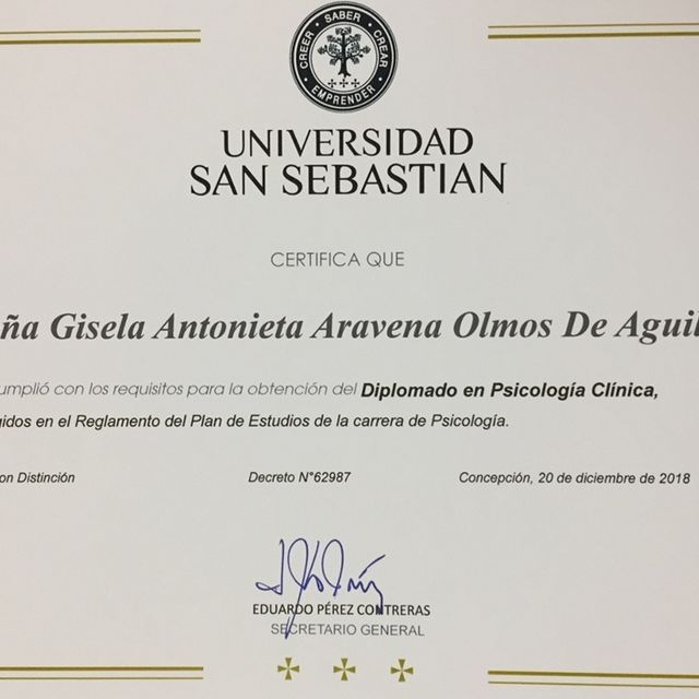 Acercar imagen: certificate 17