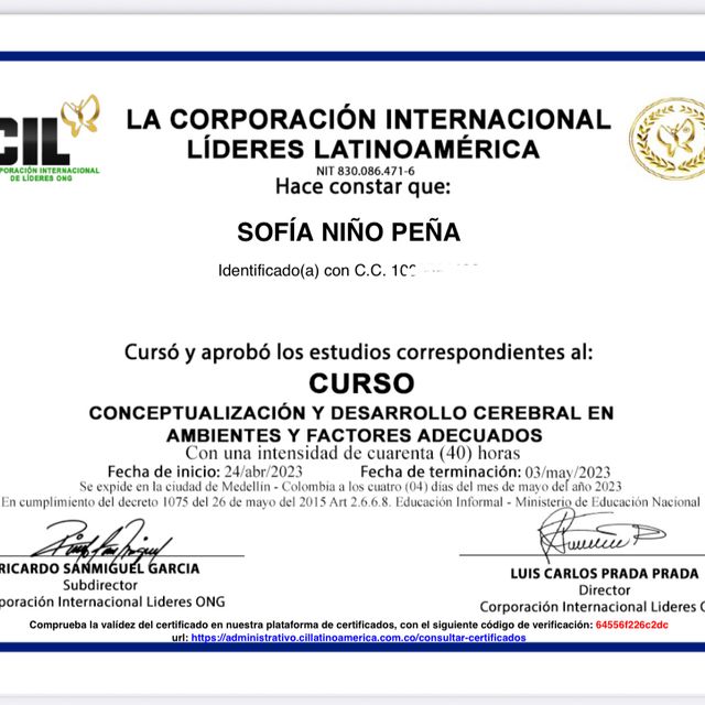 Acercar imagen: certificate 7