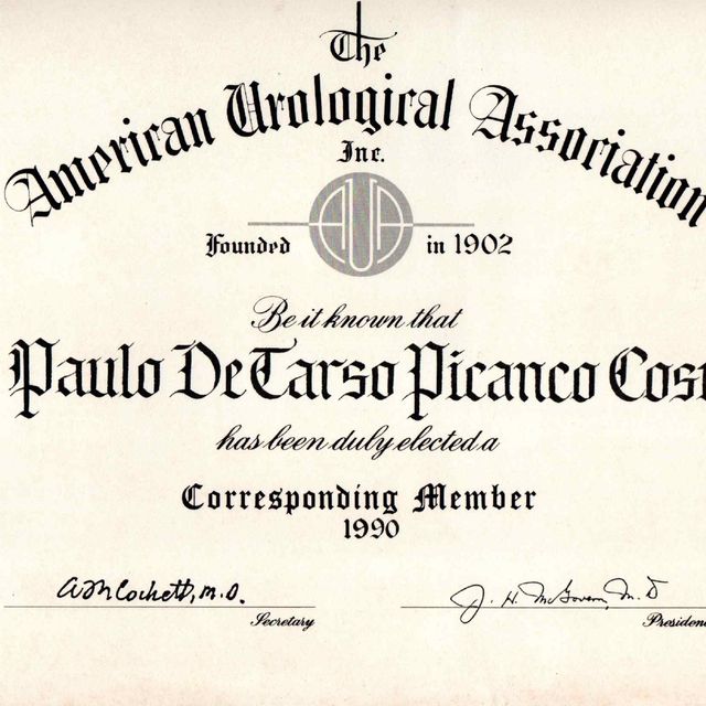 Ampliar imagem: certificate 5