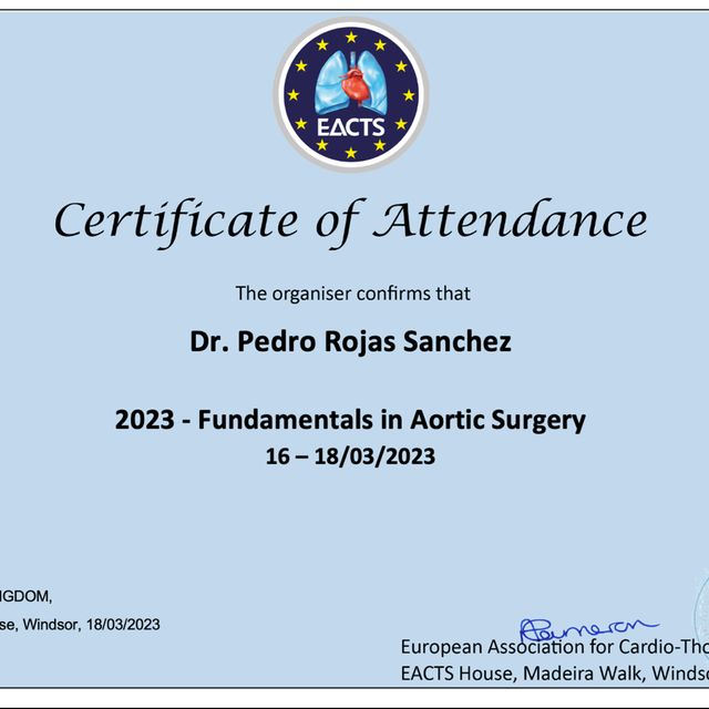 Acercar imagen: certificate 7