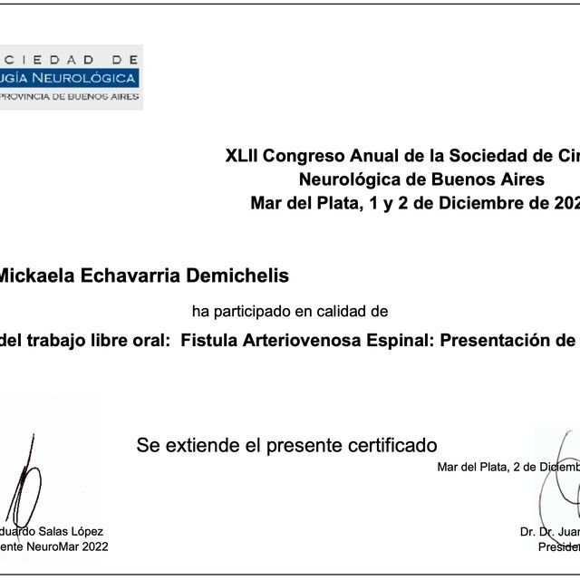Acercar imagen: certificate 15