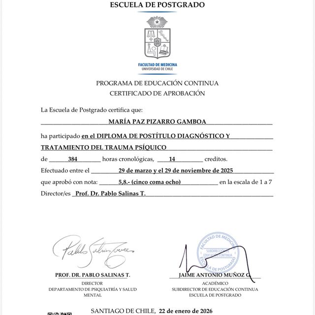 Acercar imagen: certificate 16