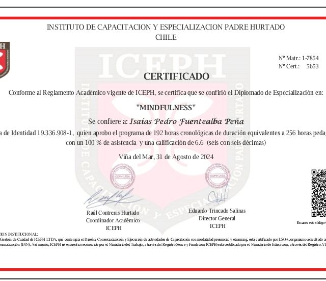 Acercar imagen: certificate 1