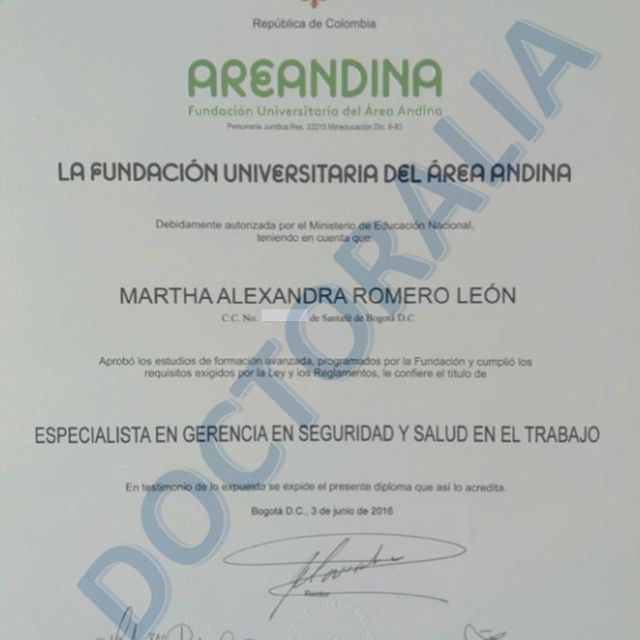 Acercar imagen: certificate 6