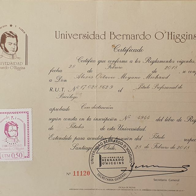 Acercar imagen: certificate 1