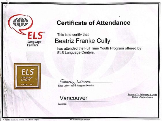 Ampliar imagem: certificate 8