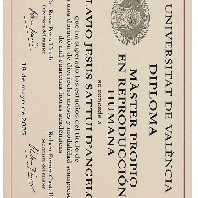 Acercar imagen: certificate 11