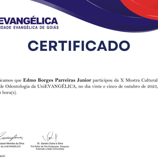 Ampliar imagem: certificate 13