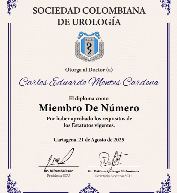 Acercar imagen: certificate 1