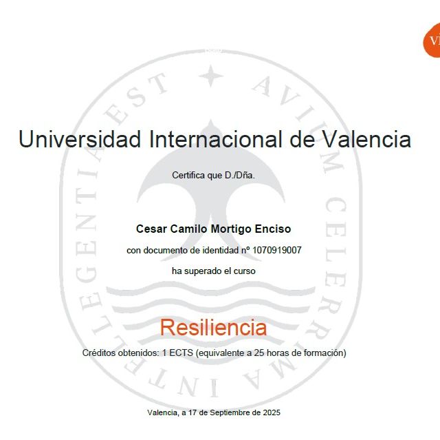 Acercar imagen: certificate 6