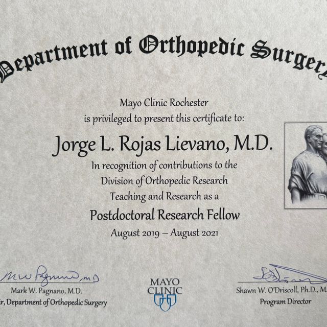 Acercar imagen: certificate 6