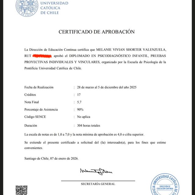 Acercar imagen: certificate 2