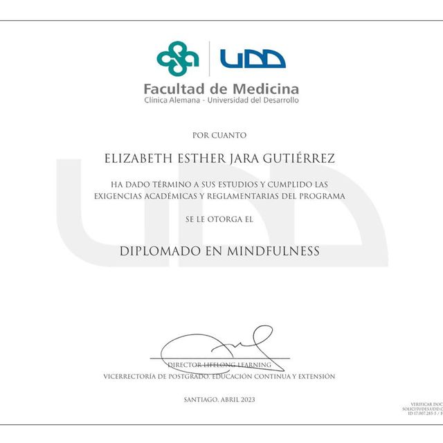 Acercar imagen: certificate 3