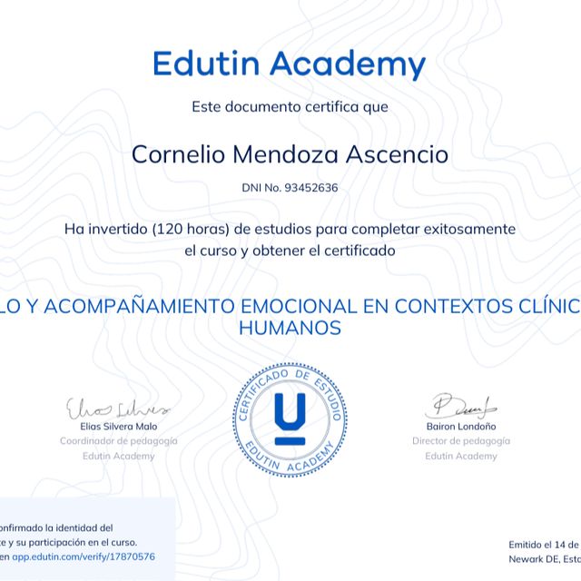 Acercar imagen: certificate 3