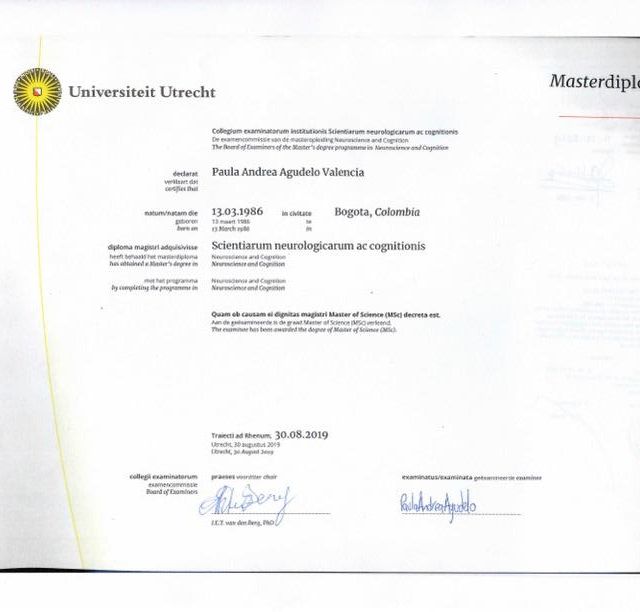 Acercar imagen: certificate 3