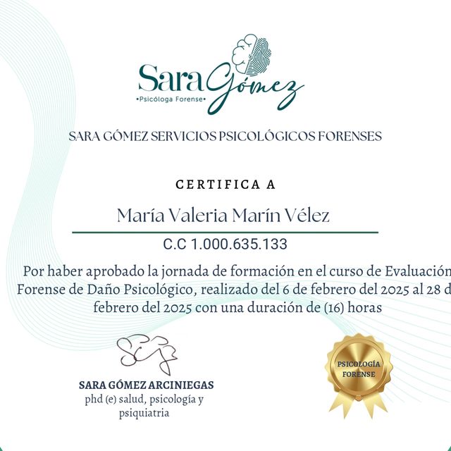 Acercar imagen: certificate 3