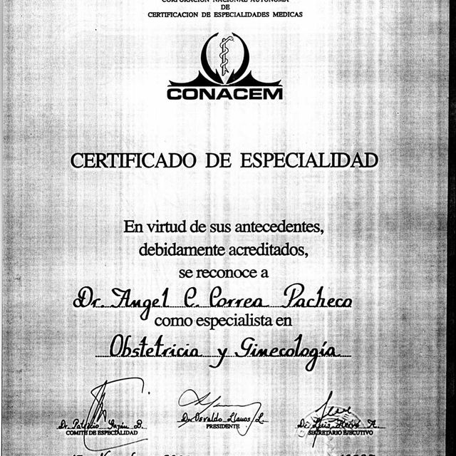 Acercar imagen: certificate 5