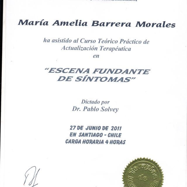 Acercar imagen: certificate 17