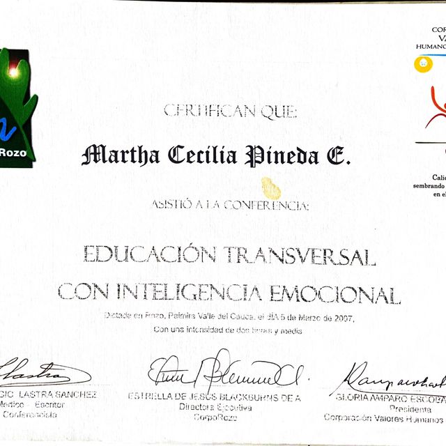 Acercar imagen: certificate 14