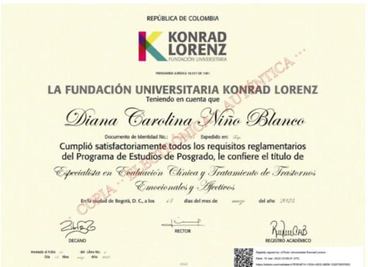 Acercar imagen: certificate 3