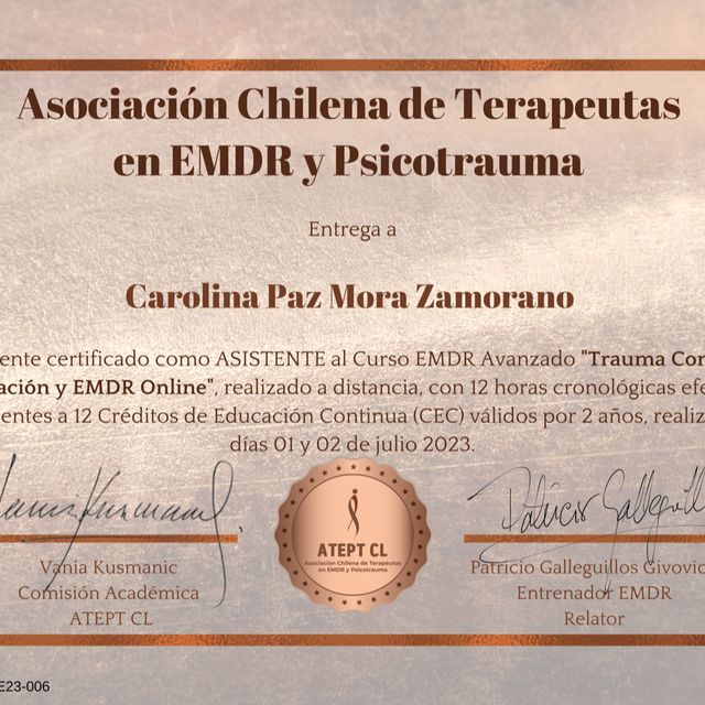 Acercar imagen: certificate 8