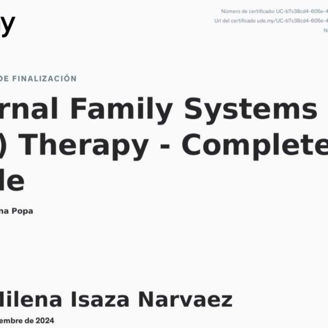 Acercar imagen: certificate 15