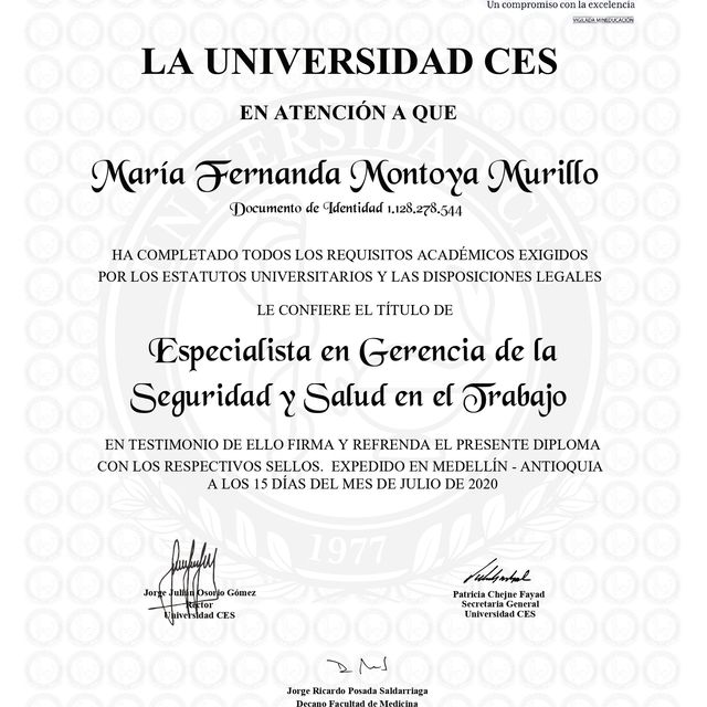 Acercar imagen: certificate 3