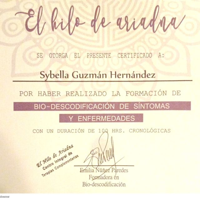 Acercar imagen: certificate 13
