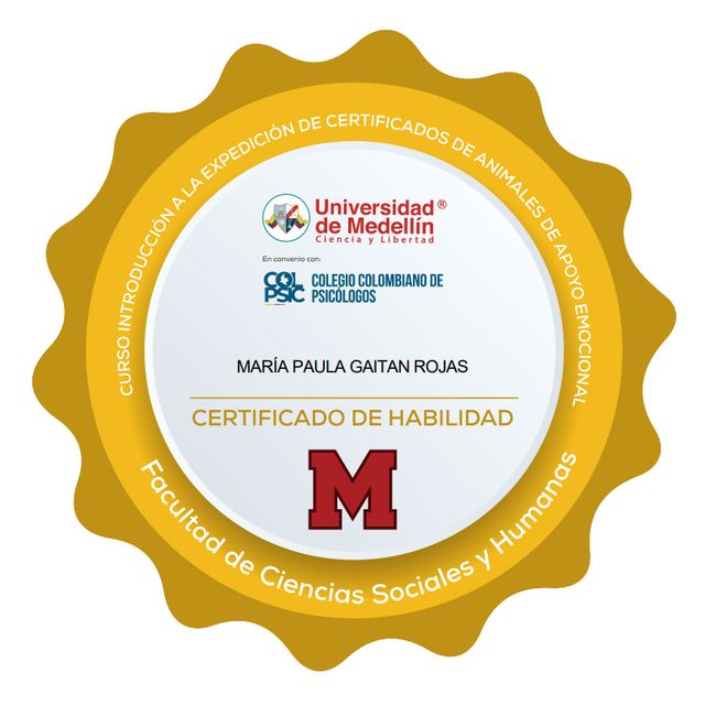 Acercar imagen: certificate 5