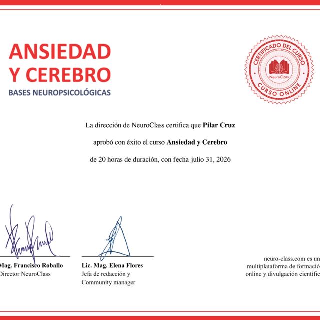 Acercar imagen: certificate 5