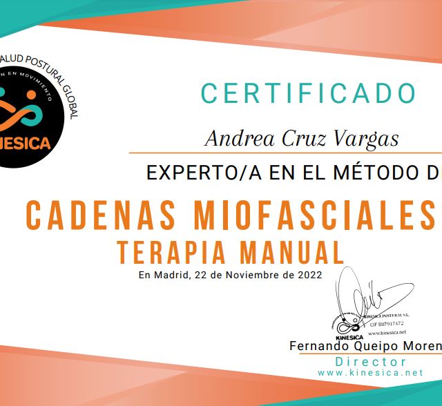 Acercar imagen: certificate 6