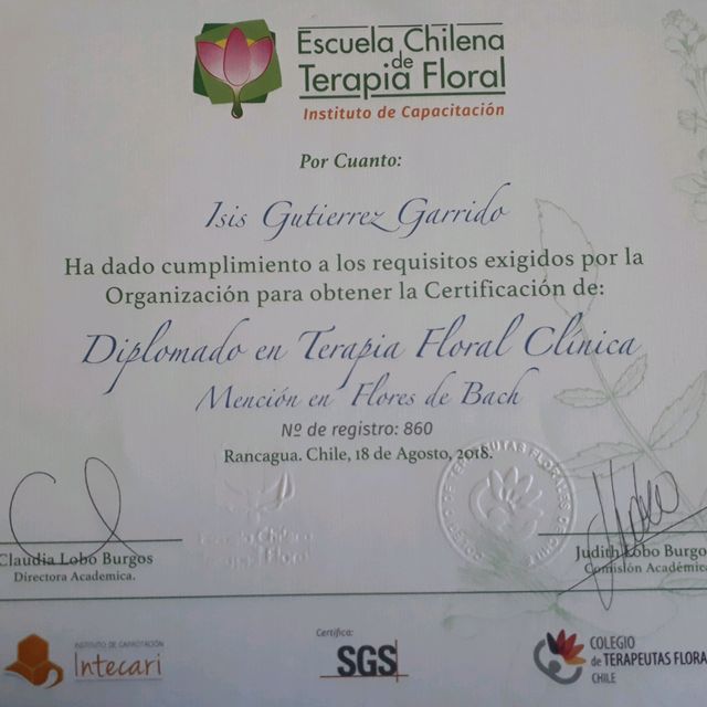 Acercar imagen: certificate 1
