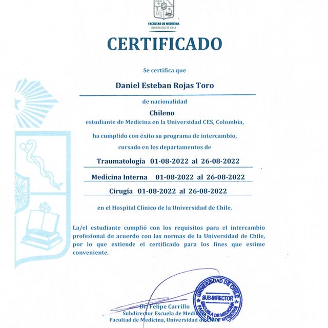Acercar imagen: certificate 5