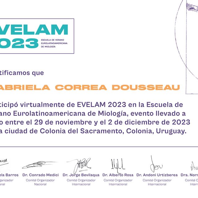 Ampliar imagem: certificate 3