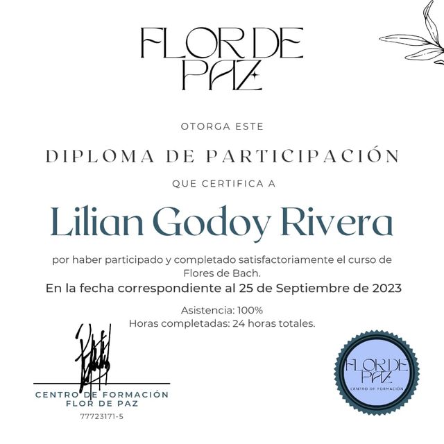 Acercar imagen: certificate 4