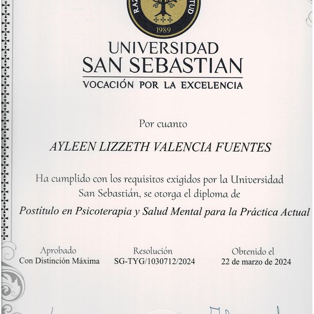 Acercar imagen: certificate 3