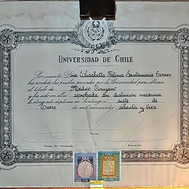 Acercar imagen: certificate 3