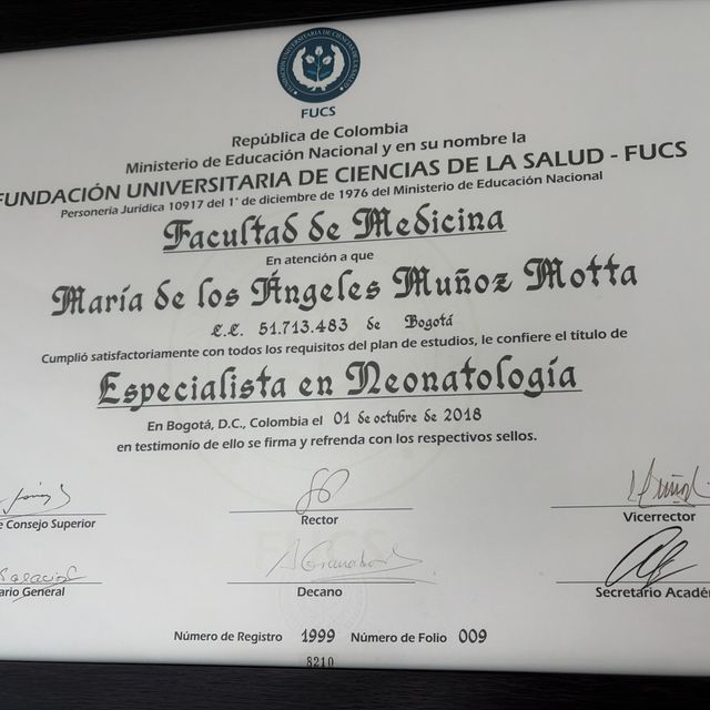 Acercar imagen: certificate 2