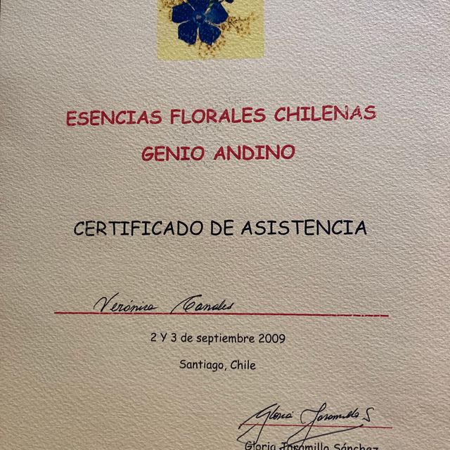 Acercar imagen: certificate 7