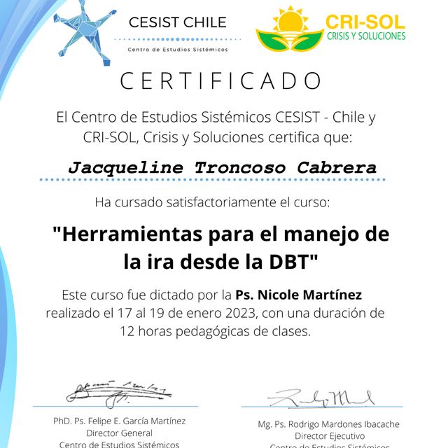 Acercar imagen: certificate 28