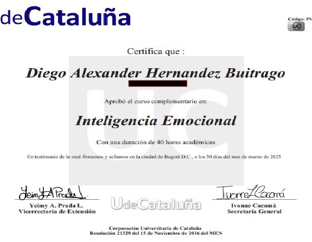Acercar imagen: certificate 6