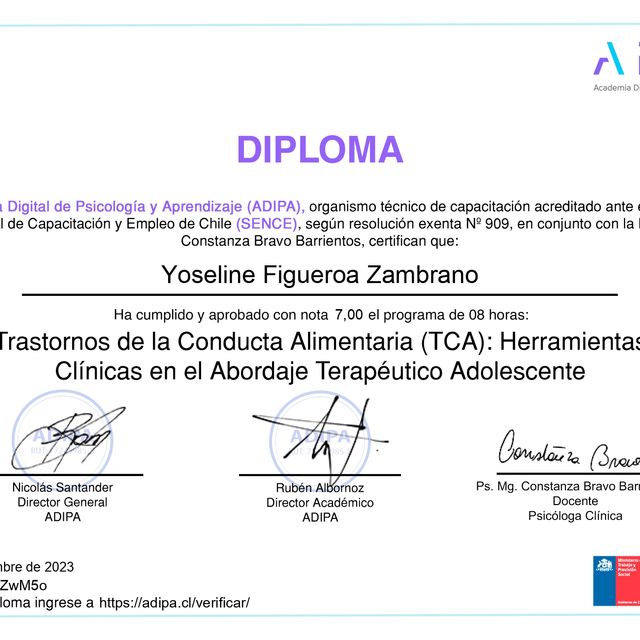 Acercar imagen: certificate 8