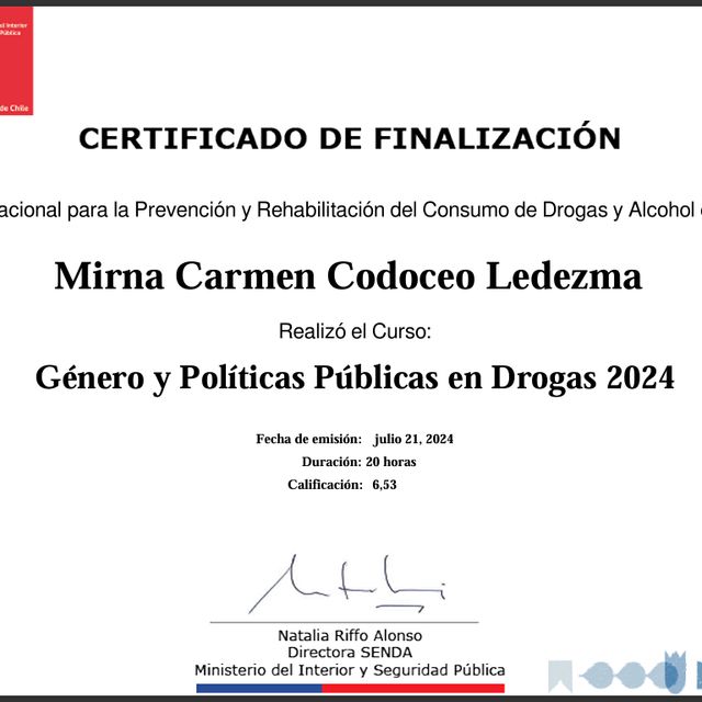 Acercar imagen: certificate 14