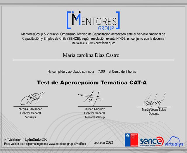Acercar imagen: certificate 11