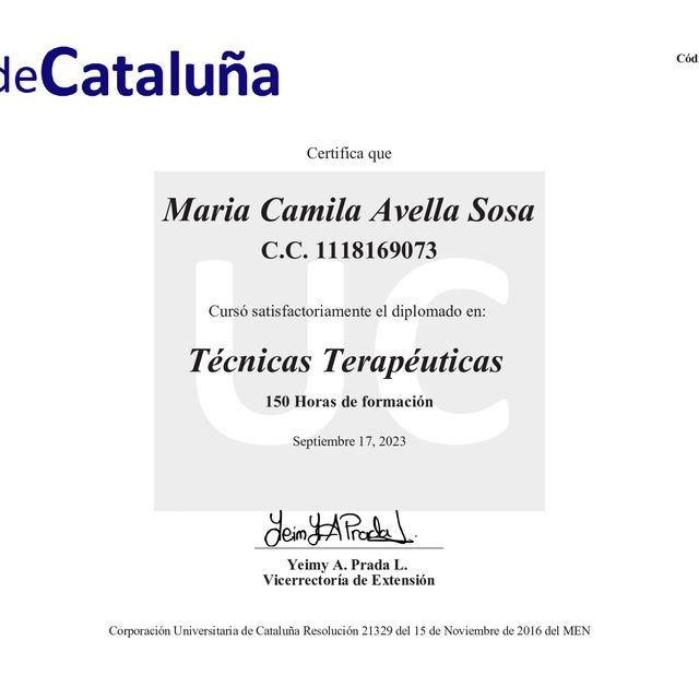 Acercar imagen: certificate 2