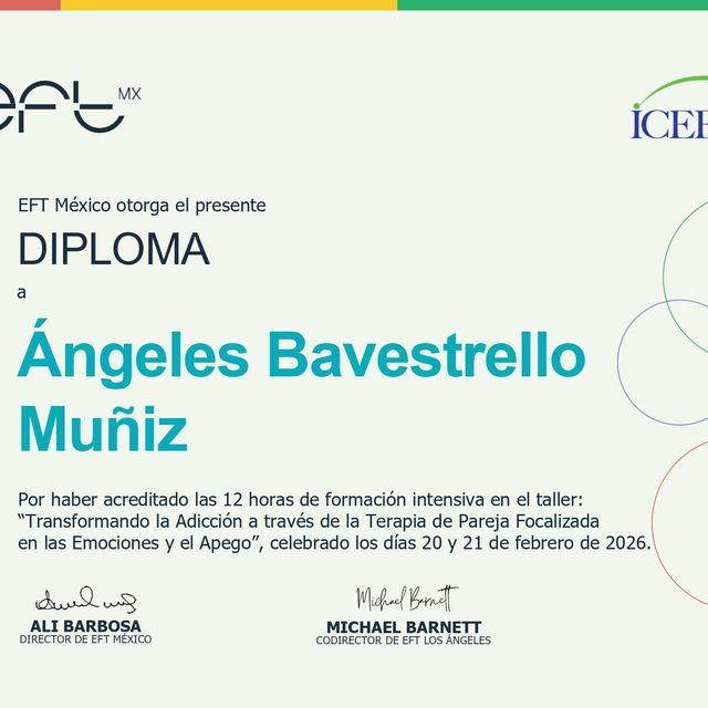 Acercar imagen: certificate 8